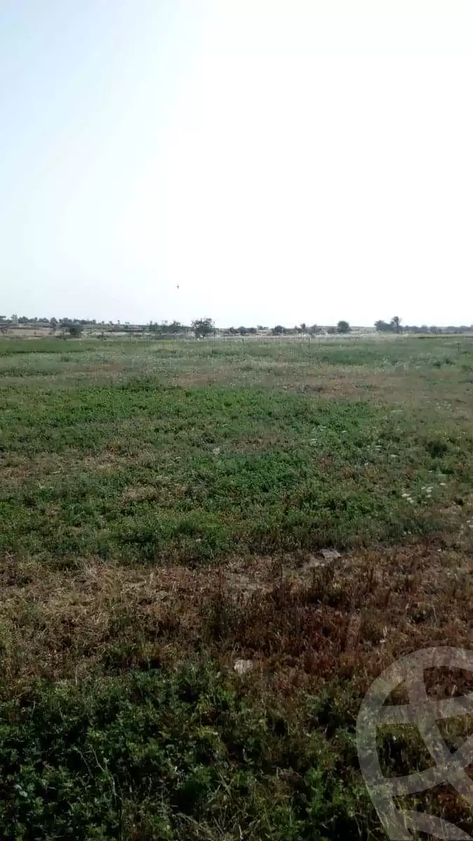 https://aqarmap.com.eg/ar/listing/4335896-for-sale-cairo-giza-el-saf-ghammaza-el-kobra-village