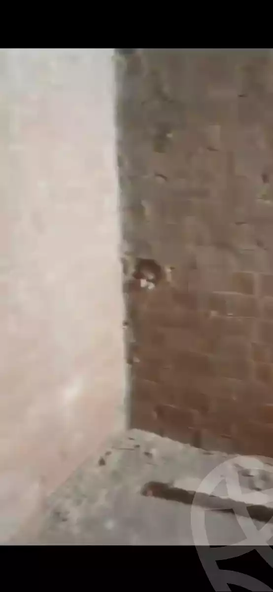https://aqarmap.com.eg/en/listing/4357710-for-sale-cairo-new-heliopolis-lhy-lsds