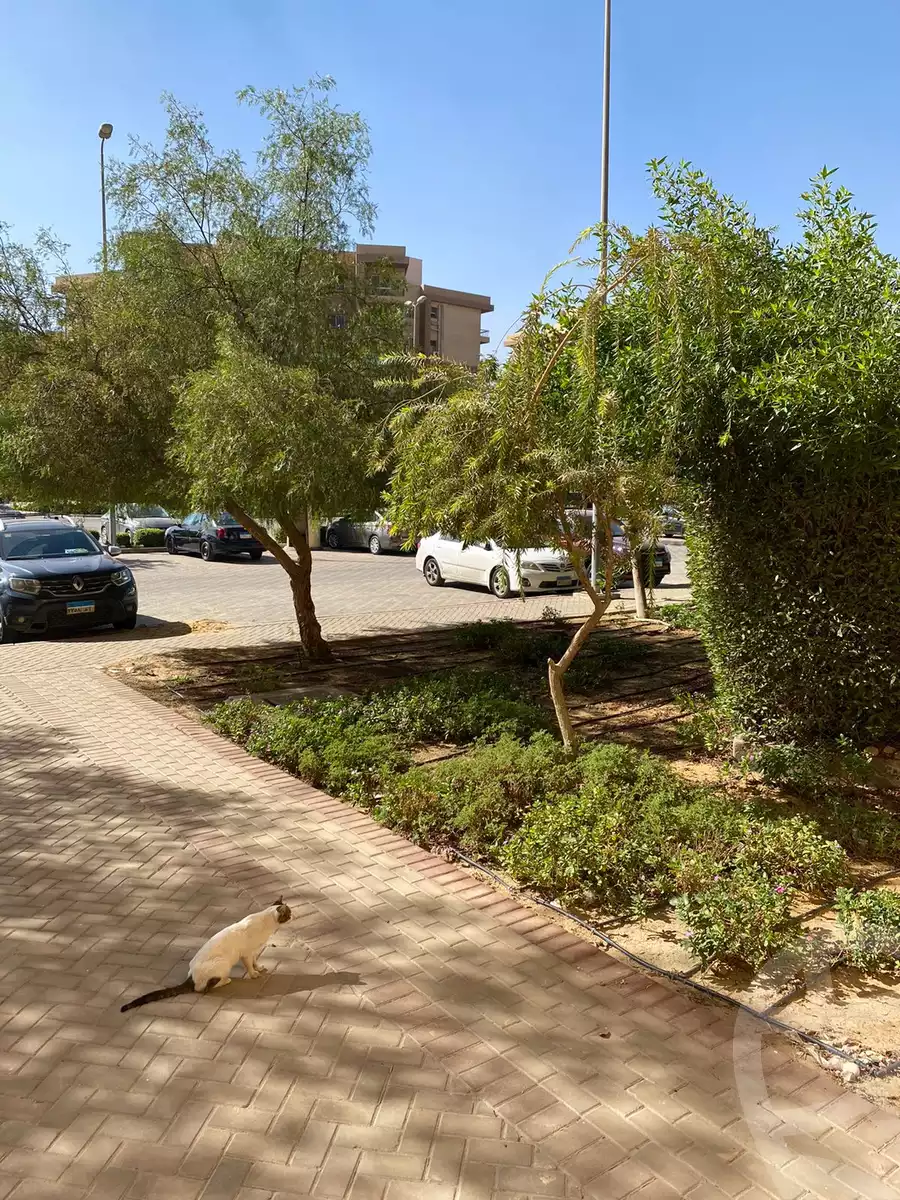 https://aqarmap.com.eg/en/listing/4359454-for-sale-cairo-6th-of-october-hadaeq-october-kmbwnd-fy-hdyq-ktwbr-ashgar-city