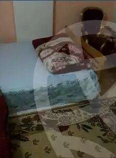https://aqarmap.com.eg/en/listing/4363203-for-rent-hassanein-desoky-st