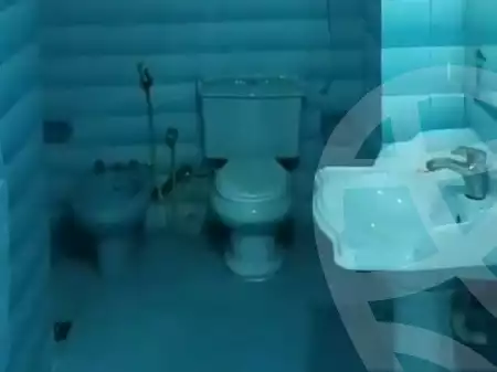 https://aqarmap.com.eg/en/listing/4365908-for-rent-cairo-ain-shams-alf-maskn