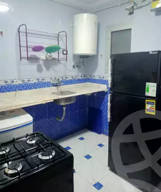 https://aqarmap.com.eg/en/listing/4369049-for-rent-alexandria-miami-khld-bn-lwlyd