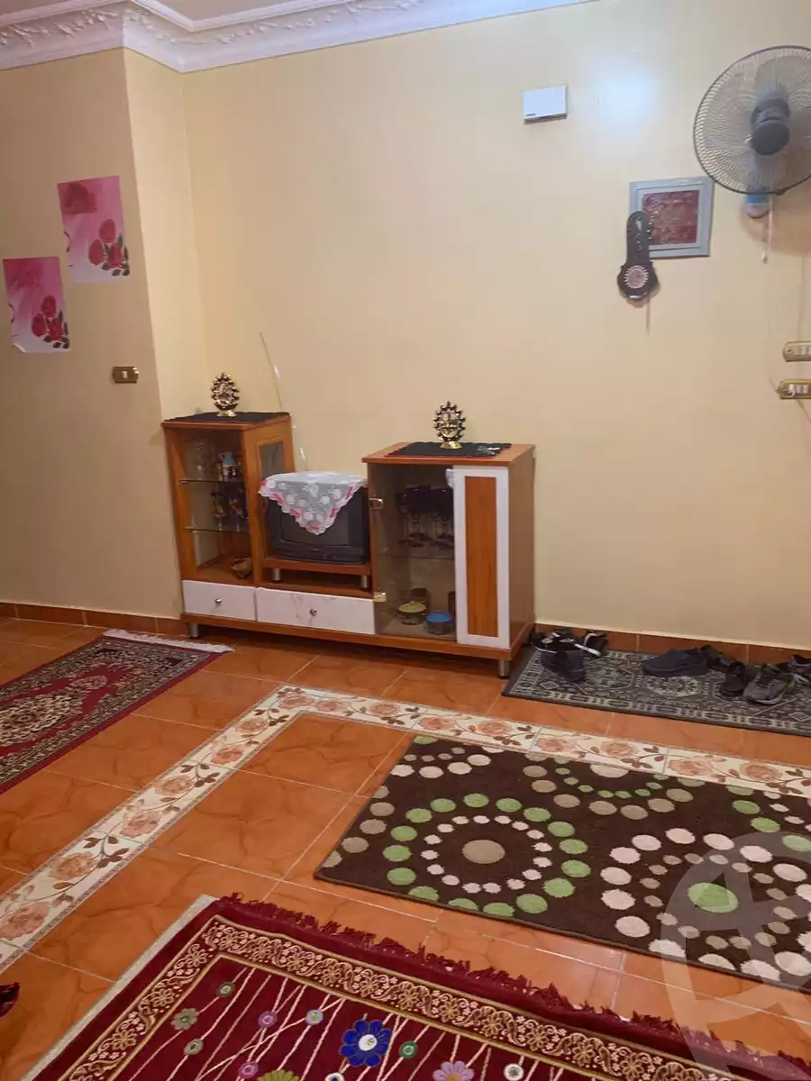 https://aqarmap.com.eg/en/listing/4771163-for-sale-cairo-ain-shams-ain-shams-el-sharkia-al-arous-st