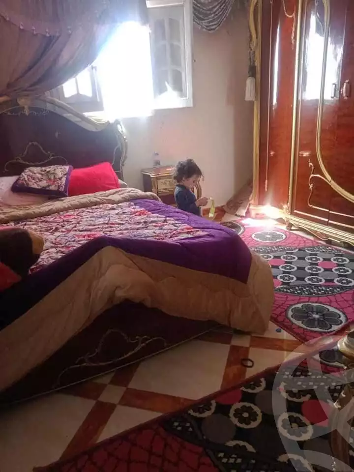 https://aqarmap.com.eg/en/listing/4852418-for-sale-alexandria-l-jmy-lbytsh-street-5-st