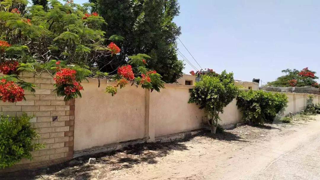 https://aqarmap.com.eg/ar/listing/4901841-for-sale-ismailia-ismailia-city