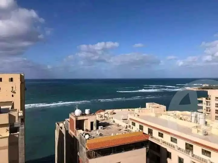 https://aqarmap.com.eg/en/listing/5079556-for-rent-alexandria-el-mandara