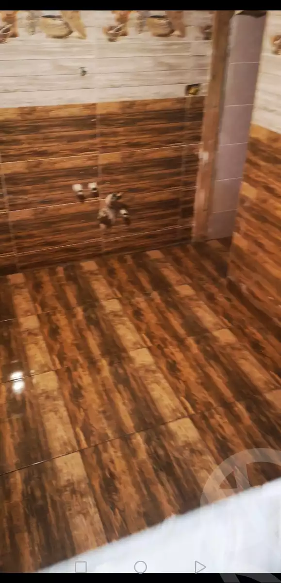 https://aqarmap.com.eg/en/listing/6312463-for-rent-cairo-el-haram-el-maryotya