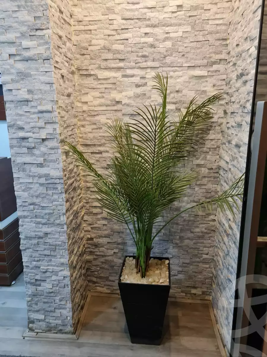 https://aqarmap.com.eg/en/listing/6009757-for-rent-cairo-downtown-ramsis