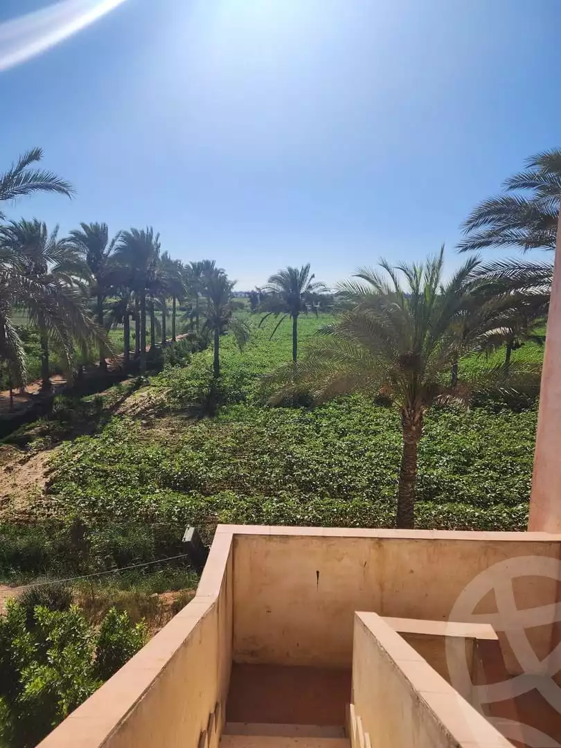 https://aqarmap.com.eg/ar/listing/5181530-for-sale-alexandria-el-amreya