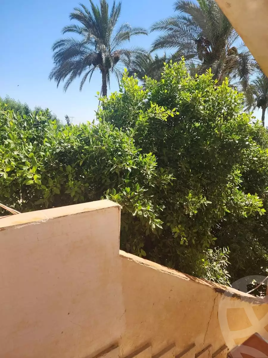 https://aqarmap.com.eg/ar/listing/5181530-for-sale-alexandria-el-amreya