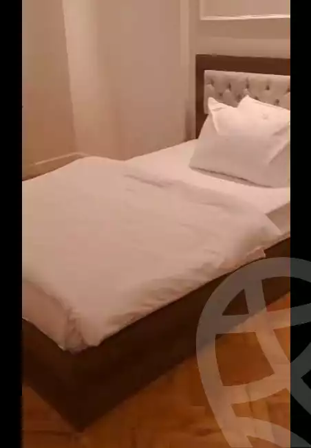 https://aqarmap.com.eg/en/listing/5222760-for-rent-cairo-al-zamalek