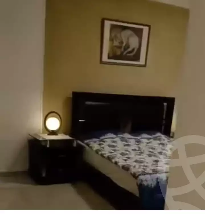 https://aqarmap.com.eg/en/listing/5236235-for-sale-cairo-al-zamalek-shr-sm-yl-mhmd