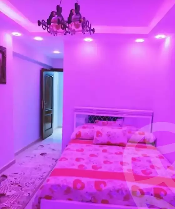 https://aqarmap.com.eg/en/listing/5237240-for-rent-cairo-al-zamalek-abou-el-feda