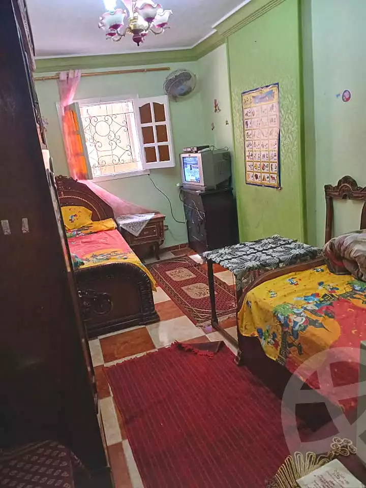 https://aqarmap.com.eg/ar/listing/5238486-for-rent-alexandria-miami-salah-al-din-shaban-st