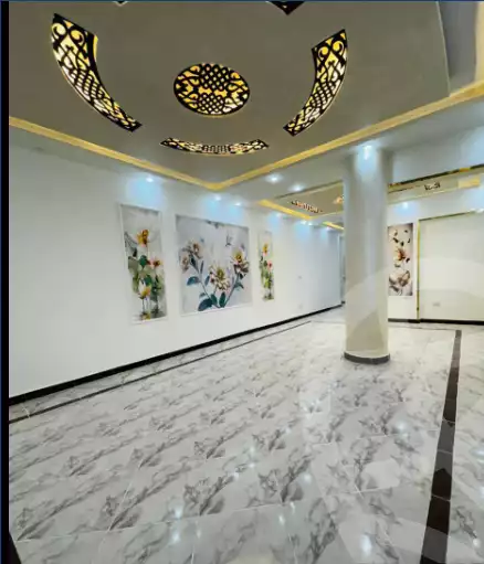 https://aqarmap.com.eg/en/listing/5257967-for-sale-alexandria-l-jmy-shataa-el-nakheel