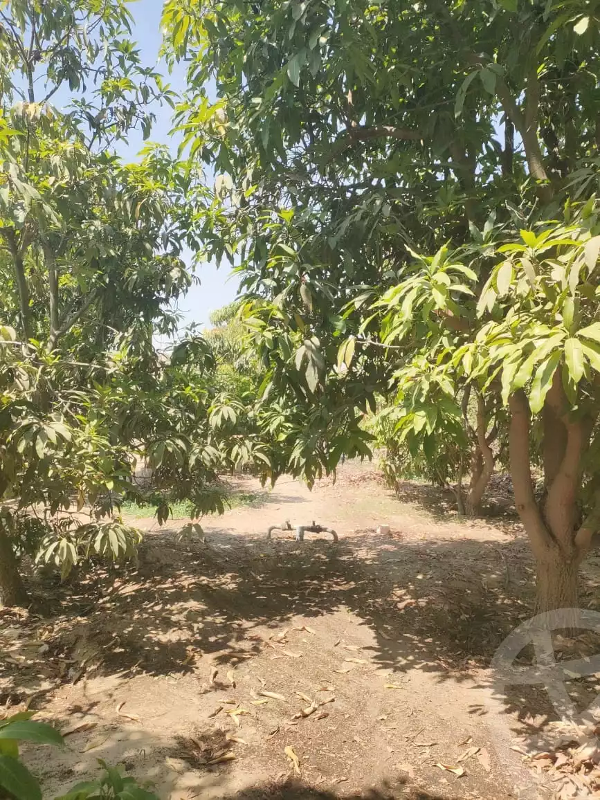 https://aqarmap.com.eg/en/listing/5286145-for-sale-ismailia-new-ismailia