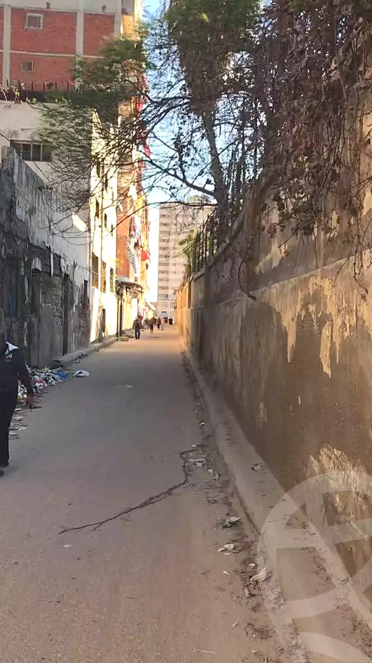 https://aqarmap.com.eg/en/listing/5288955-for-sale-alexandria-krmwz