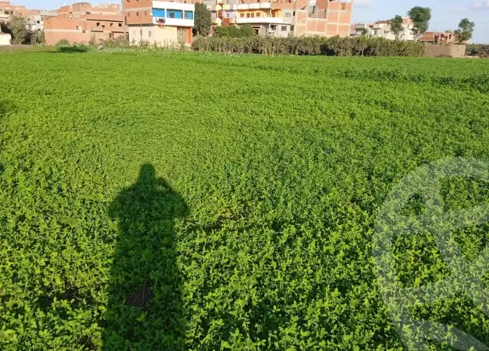 https://aqarmap.com.eg/ar/listing/5300490-for-sale-sharqia-minya-el-qamh-minya-el-qamh-city