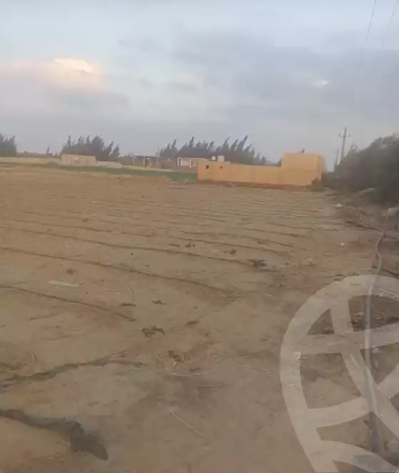 https://aqarmap.com.eg/en/listing/5302466-for-sale-beheira-wadi-el-natrun