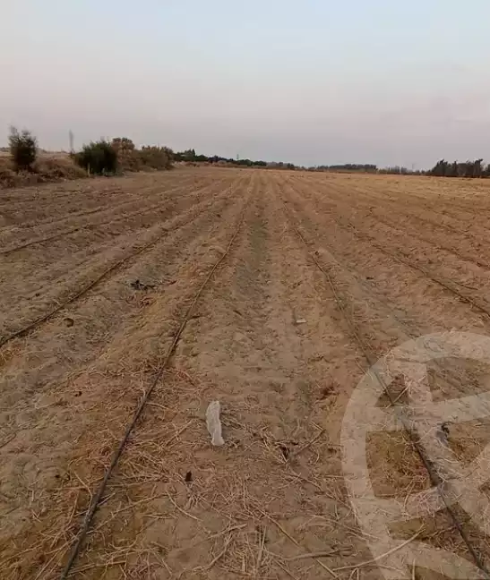 https://aqarmap.com.eg/en/listing/5302466-for-sale-beheira-wadi-el-natrun