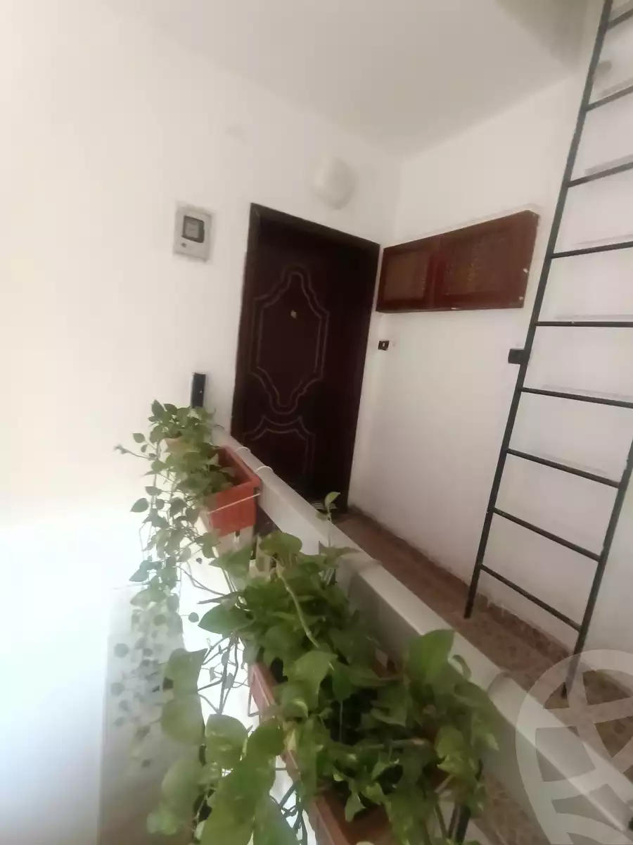 https://aqarmap.com.eg/en/listing/5308813-for-rent-cairo-el-maadi-zahraa-el-maadi-zahraa-el-maadi-st
