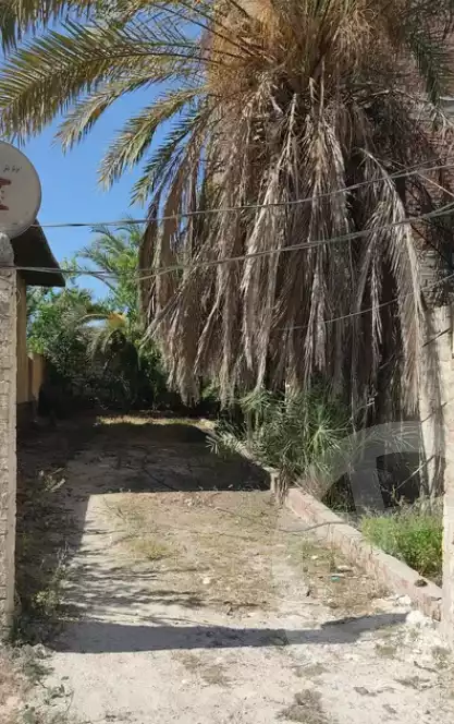 https://aqarmap.com.eg/en/listing/5309597-for-sale-alexandria-l-jmy