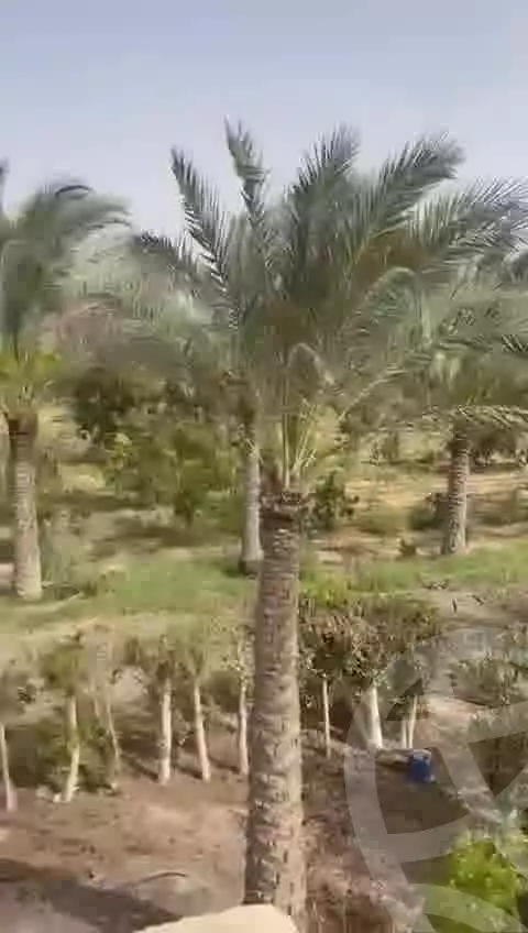 https://aqarmap.com.eg/en/listing/5313338-for-sale-cairo-el-sheikh-zayed-city-alex-cairo-desert-road