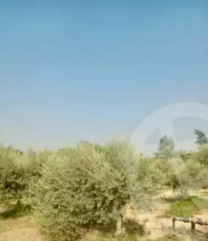 https://aqarmap.com.eg/en/listing/5323785-for-sale-beheira-wadi-el-natrun