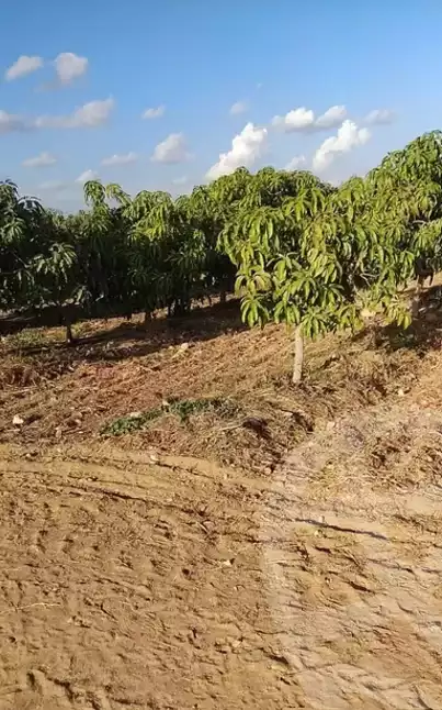 https://aqarmap.com.eg/en/listing/5336440-for-sale-beheira-wadi-el-natrun
