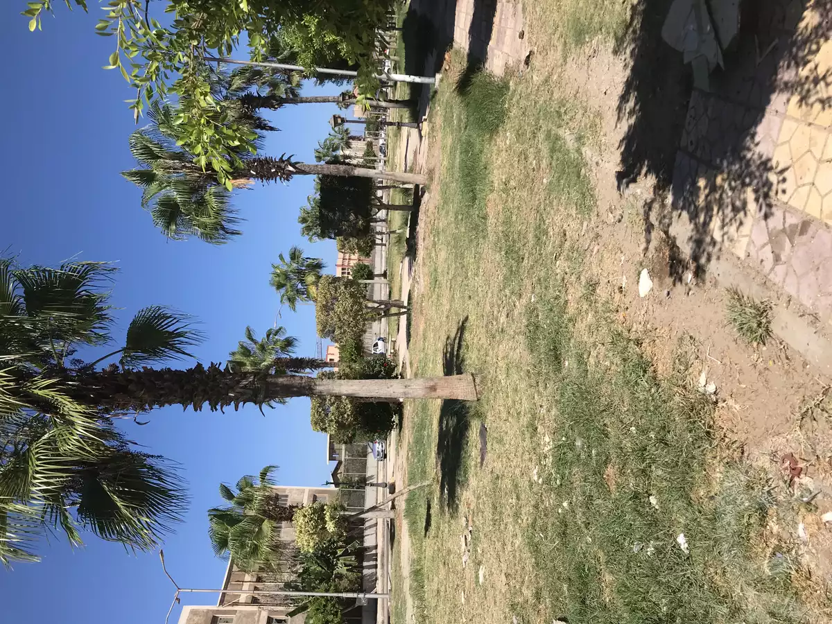 https://aqarmap.com.eg/ar/listing/5339825-for-sale-port-said-bwr-fwd