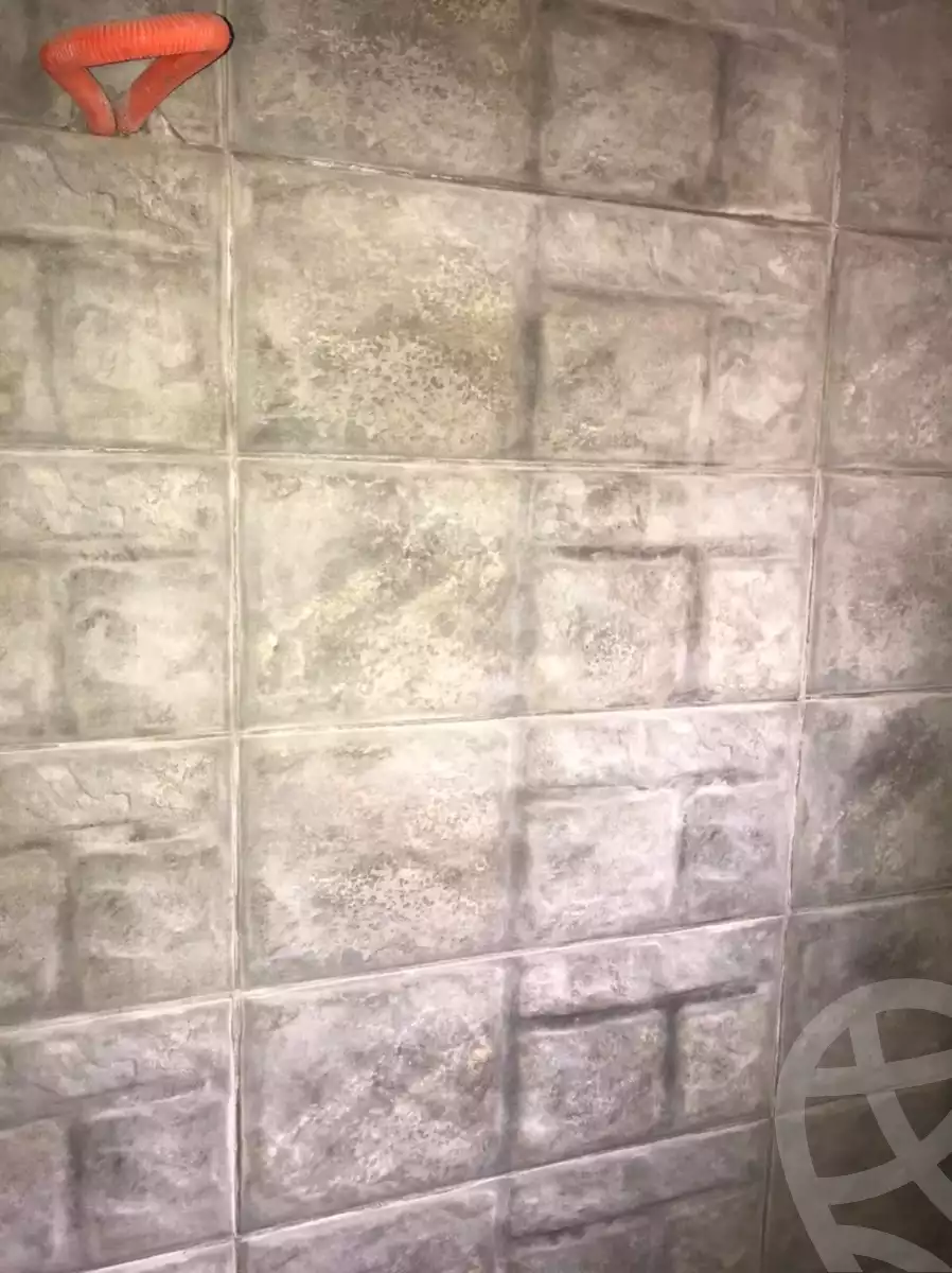 https://aqarmap.com.eg/en/listing/5343825-for-sale-cairo-el-shorouk-h-lnd