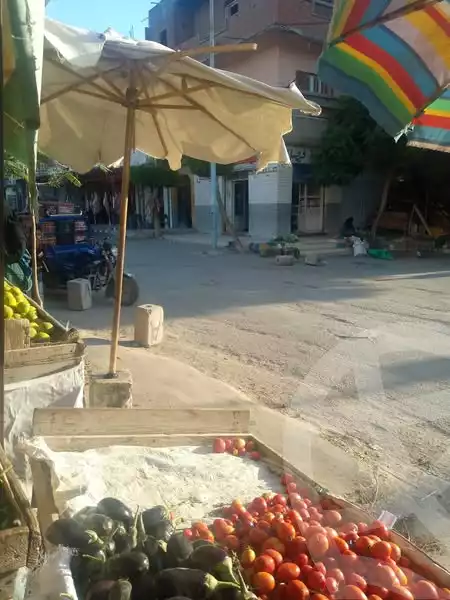 https://aqarmap.com.eg/en/listing/5345625-for-sale-cairo-el-sayyeda-zeinab-el-nasereya-st