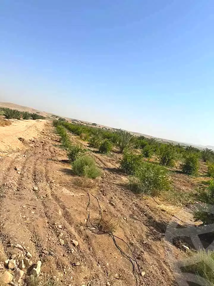 https://aqarmap.com.eg/en/listing/5346328-for-sale-sohag-mdyn-swhj-ljdyd