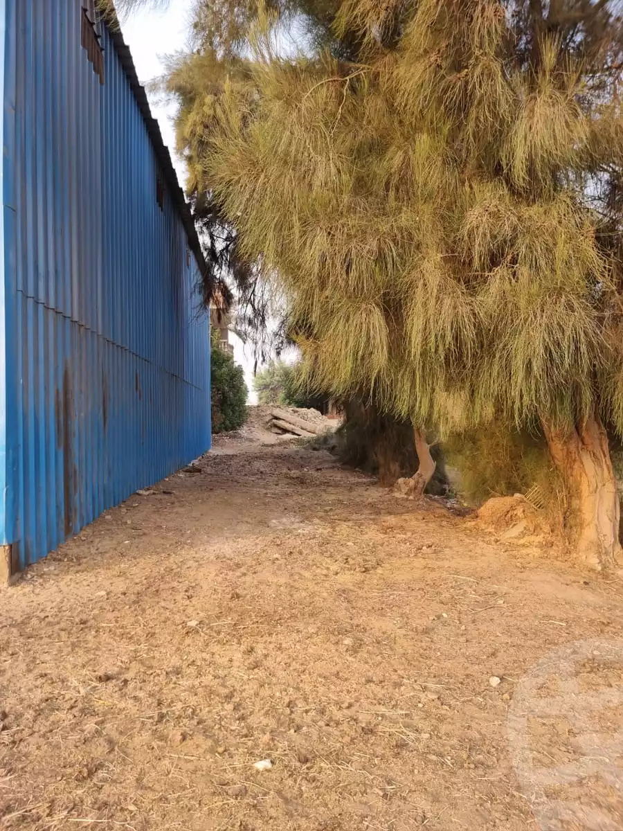 https://aqarmap.com.eg/en/listing/5806731-for-sale-cairo-el-haram-el-maryotya-zaghloul-st