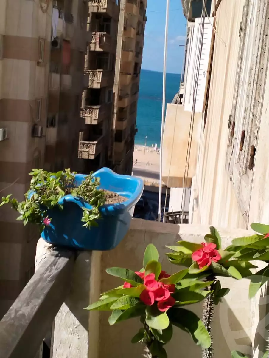 https://aqarmap.com.eg/en/listing/5352232-for-sale-alexandria-el-mandara-shr-jml-bd-lnsr
