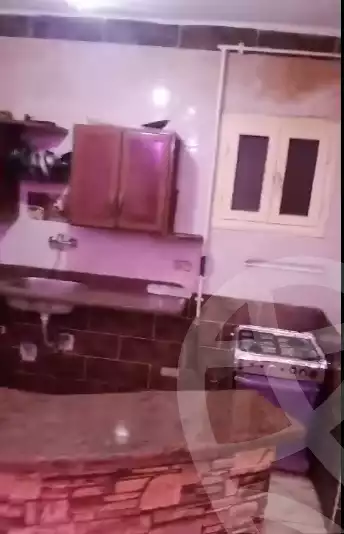 https://aqarmap.com.eg/en/listing/5362542-for-rent-alexandria-miami