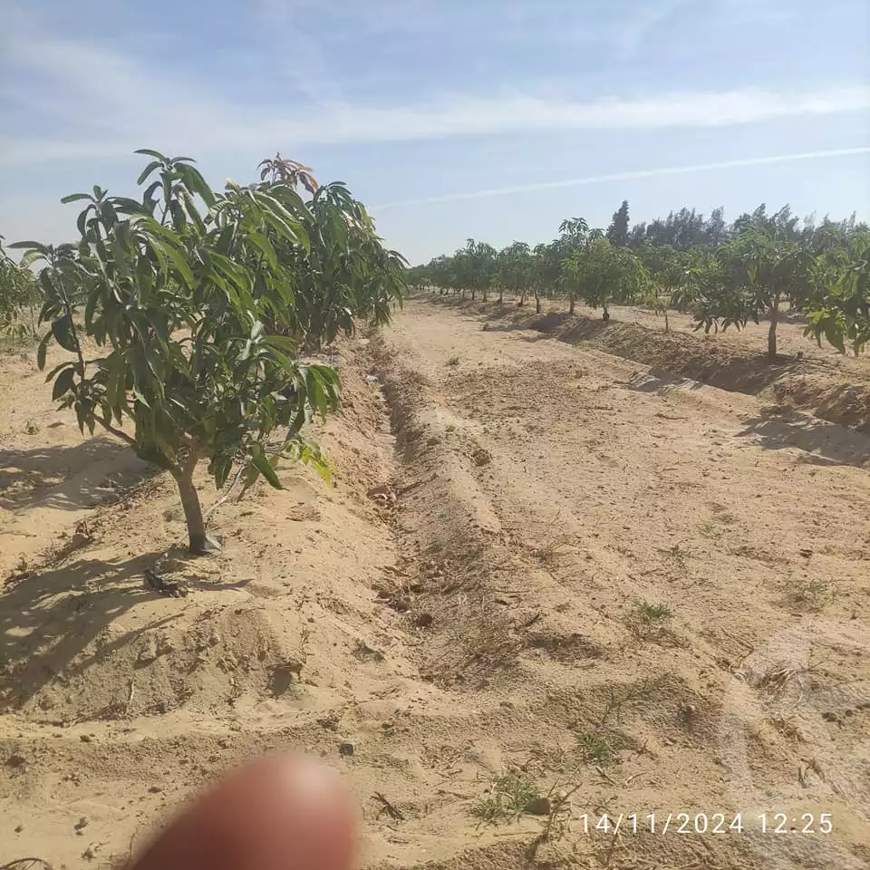 https://aqarmap.com.eg/en/listing/5362870-for-sale-beheira-wadi-el-natrun
