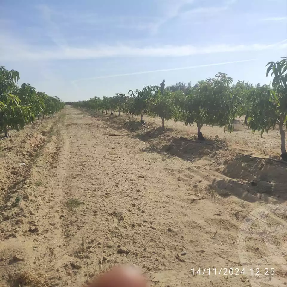 https://aqarmap.com.eg/en/listing/5362870-for-sale-beheira-wadi-el-natrun