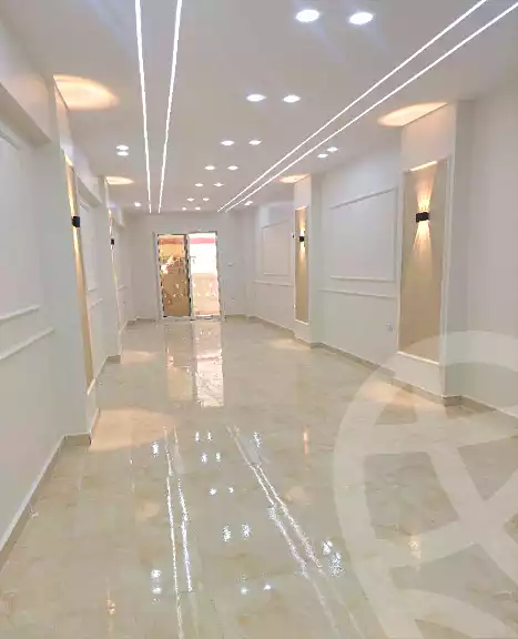 https://aqarmap.com.eg/ar/listing/5377043-for-sale-alexandria-el-hanouvel-rich-home-st