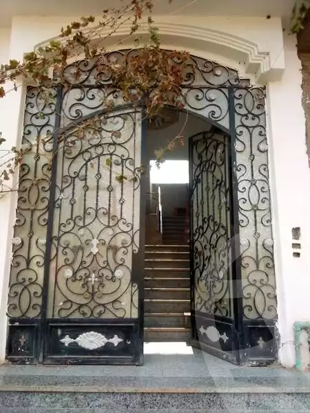 https://aqarmap.com.eg/en/listing/5377129-for-sale-dakahlia-talkha-talkha-city