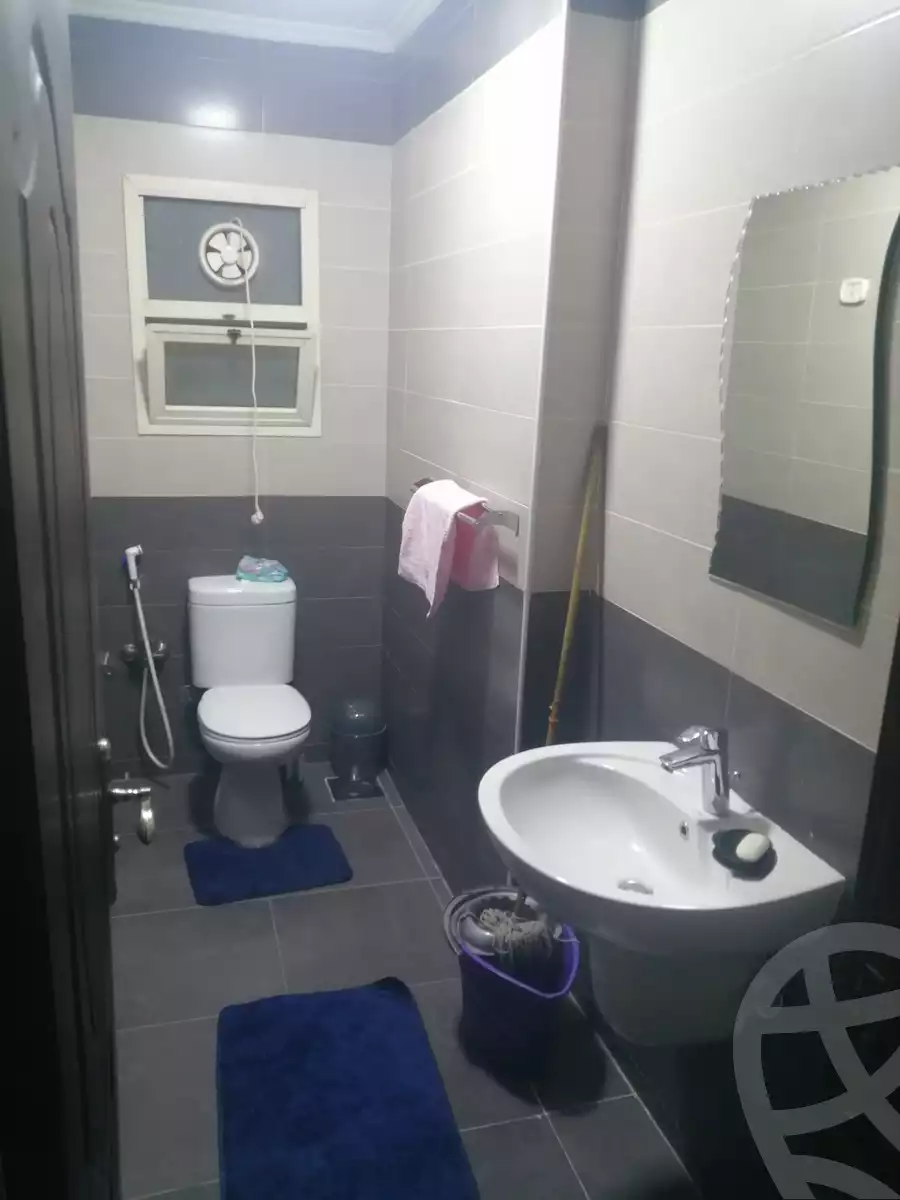 https://aqarmap.com.eg/en/listing/5379208-for-rent-cairo-nasr-city-hassan-el-mamoon
