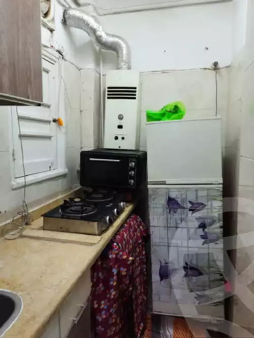 https://aqarmap.com.eg/en/listing/5388221-for-rent-cairo-manial-manial-st