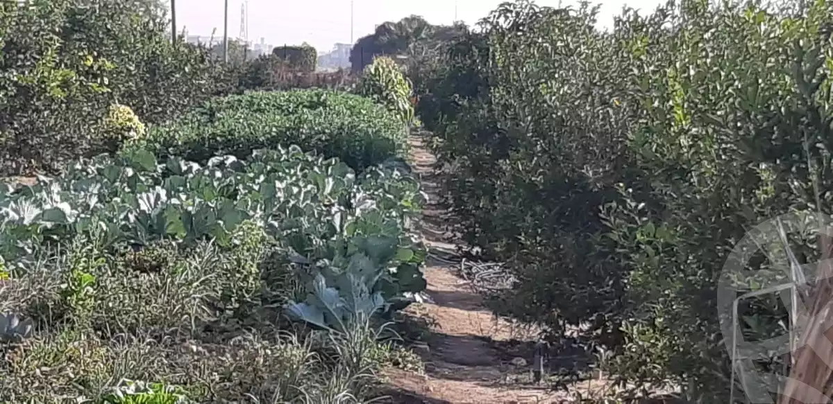https://aqarmap.com.eg/en/listing/5388262-for-sale-sharqia-10th-of-ramadan-el-ordoneya-district-other-neighborhoods-in-el-ordoneya-district