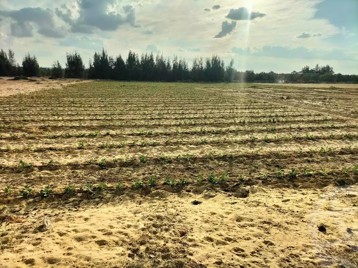 https://aqarmap.com.eg/en/listing/5390580-for-sale-beheira-wadi-el-natrun