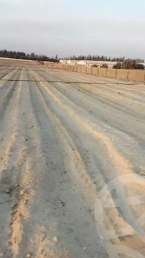 https://aqarmap.com.eg/ar/listing/5391091-for-sale-beheira-wadi-el-natrun