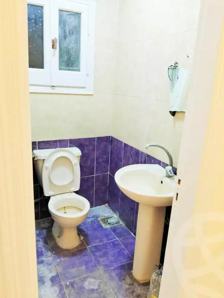 https://aqarmap.com.eg/en/listing/5392963-for-rent-alexandria-miami