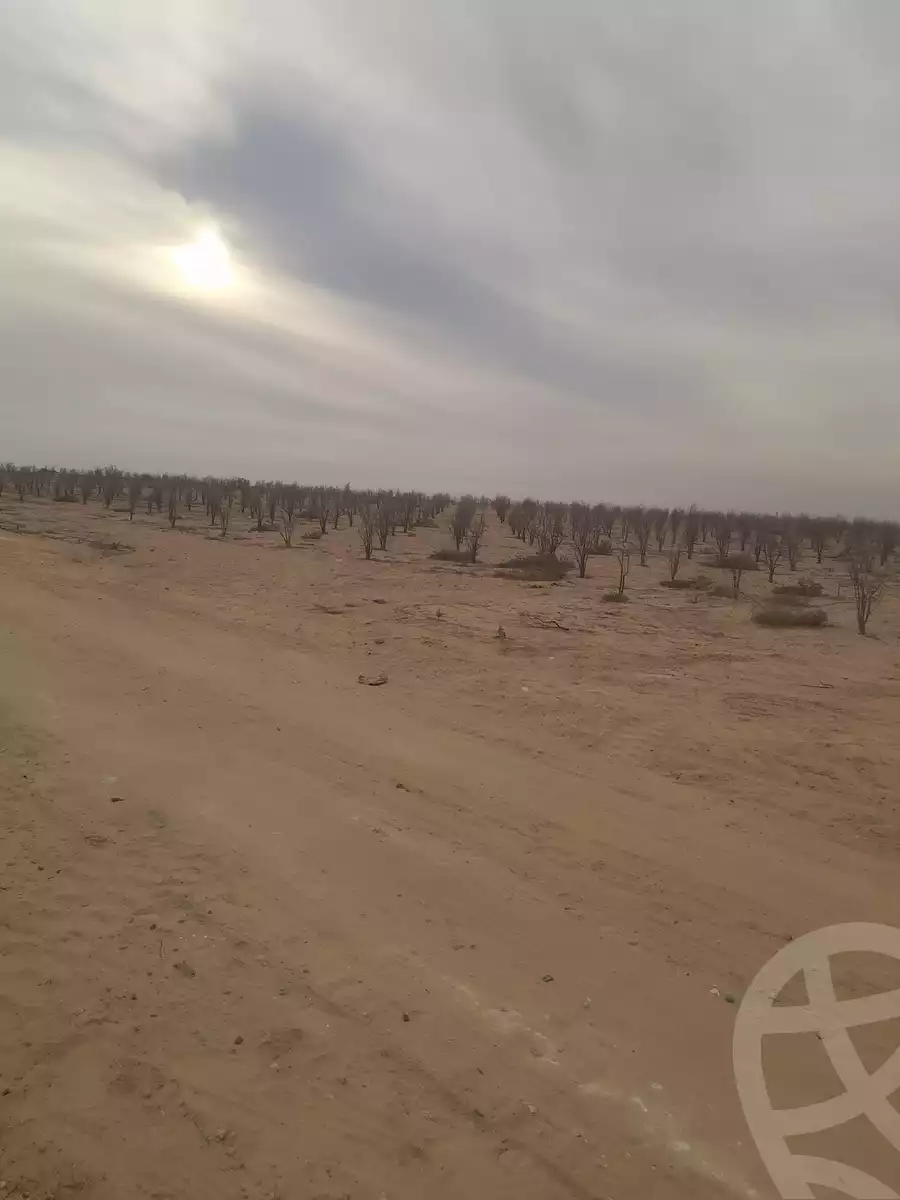 https://aqarmap.com.eg/ar/listing/5400203-for-sale-beheira-wadi-el-natrun