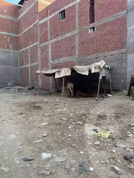 https://aqarmap.com.eg/en/listing/5402750-for-sale-dakahlia-mansoura-awesh-el-hagar