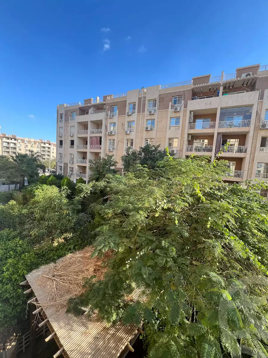 https://aqarmap.com.eg/en/listing/5403168-for-rent-cairo-new-cairo-madinaty-seventh-zone-buildings-mdynty-by-7