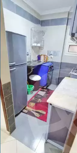 https://aqarmap.com.eg/en/listing/5410776-for-rent-cairo-manial
